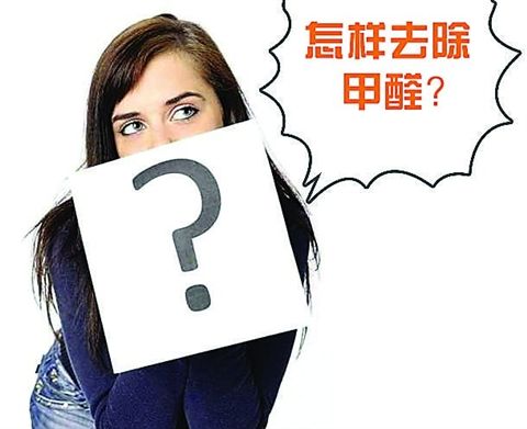 哪些甲醛治理方法是最適合夏季使用的？