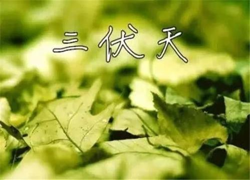 三伏天更要找杭州甲醛檢測公司上門采樣嗎？